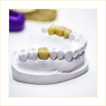 Be Stand up instead Lender China Dental Lab Chinese Dental Lab Dentallabor China Laboratory Price
